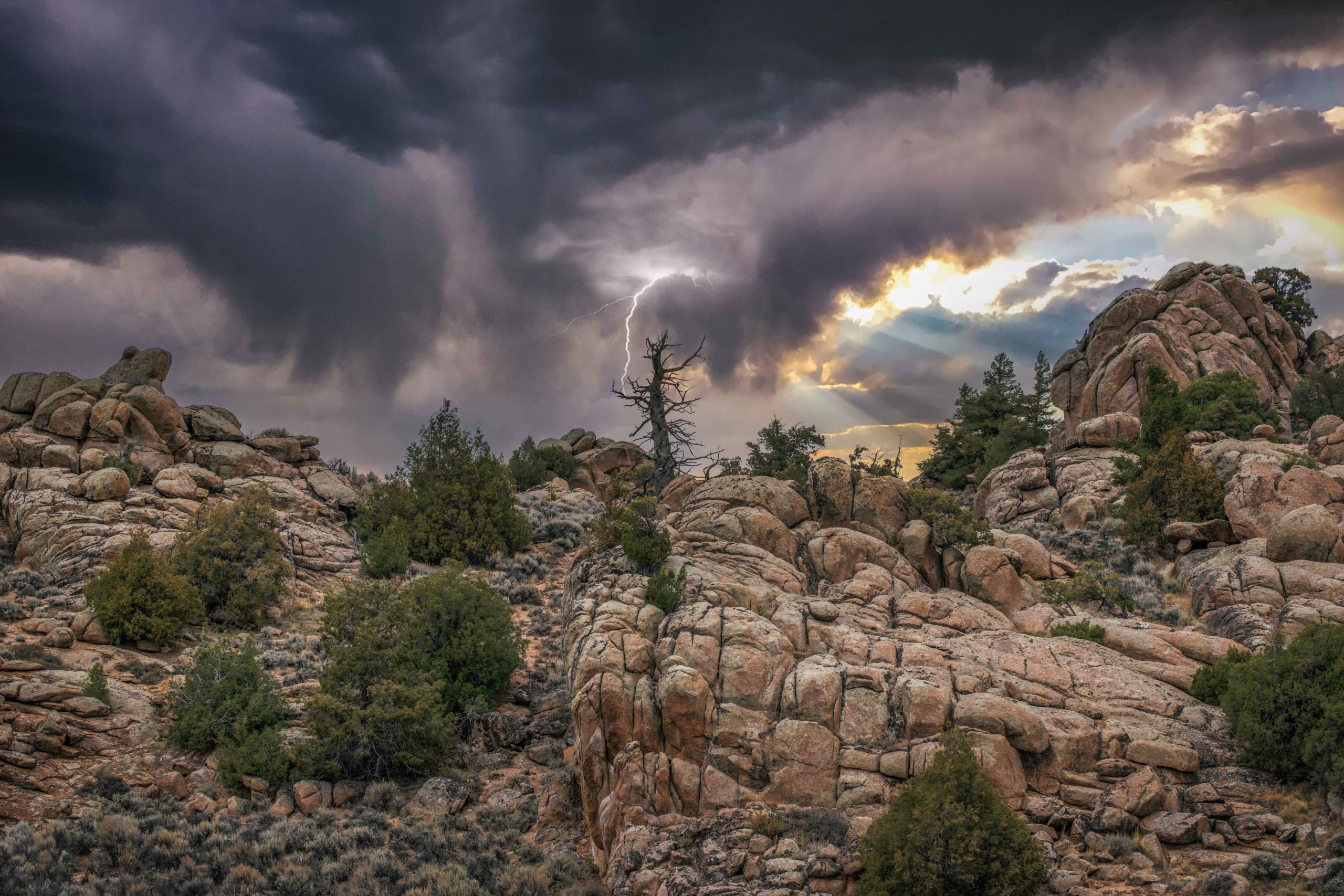 John Freud - Springs and Seasons - Scary Wilderness